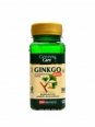 Ginkgo 60 mg extrakt 100 kapslí